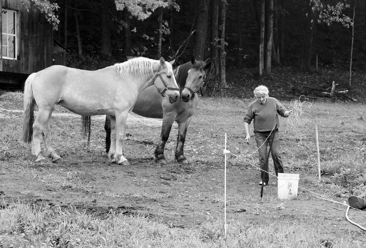 electric fence, wire, manual labor, woman farmer, Tending horse team, pasture, working the land, VT