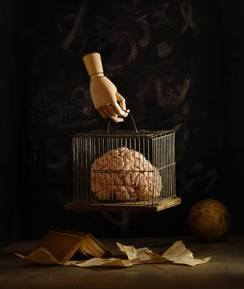 cage, brain, caged brain, symbolism, globe, book, symbolic book, surrealism, political commentary