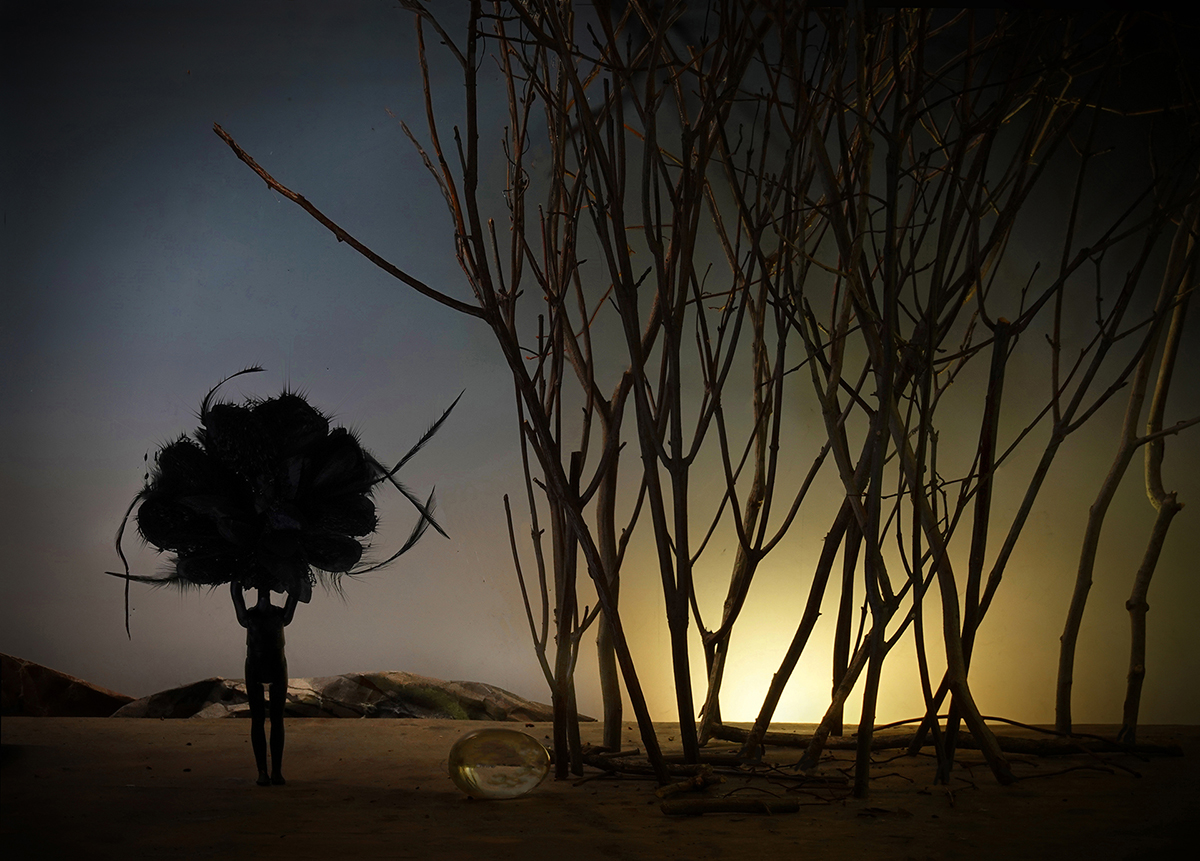 black flower, fleur du mal, evil flower, crystal egg, egg, forest, bare forest, trees, symbolism, surreal landscape photography, surrealism