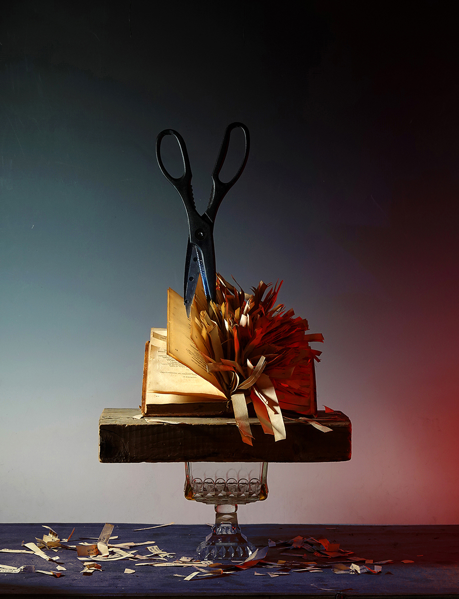 book, shredded book, scissors, still life, cut-up book, symbolism, political commentary